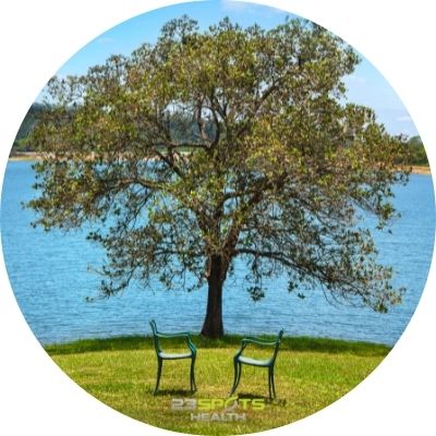 Termin Stress Coaching