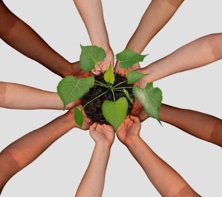 Vorteile Lizenzsystem Gesundheitssystem Zusammenarbeit Vorteile Lizenzsystem Zusammenarbeit